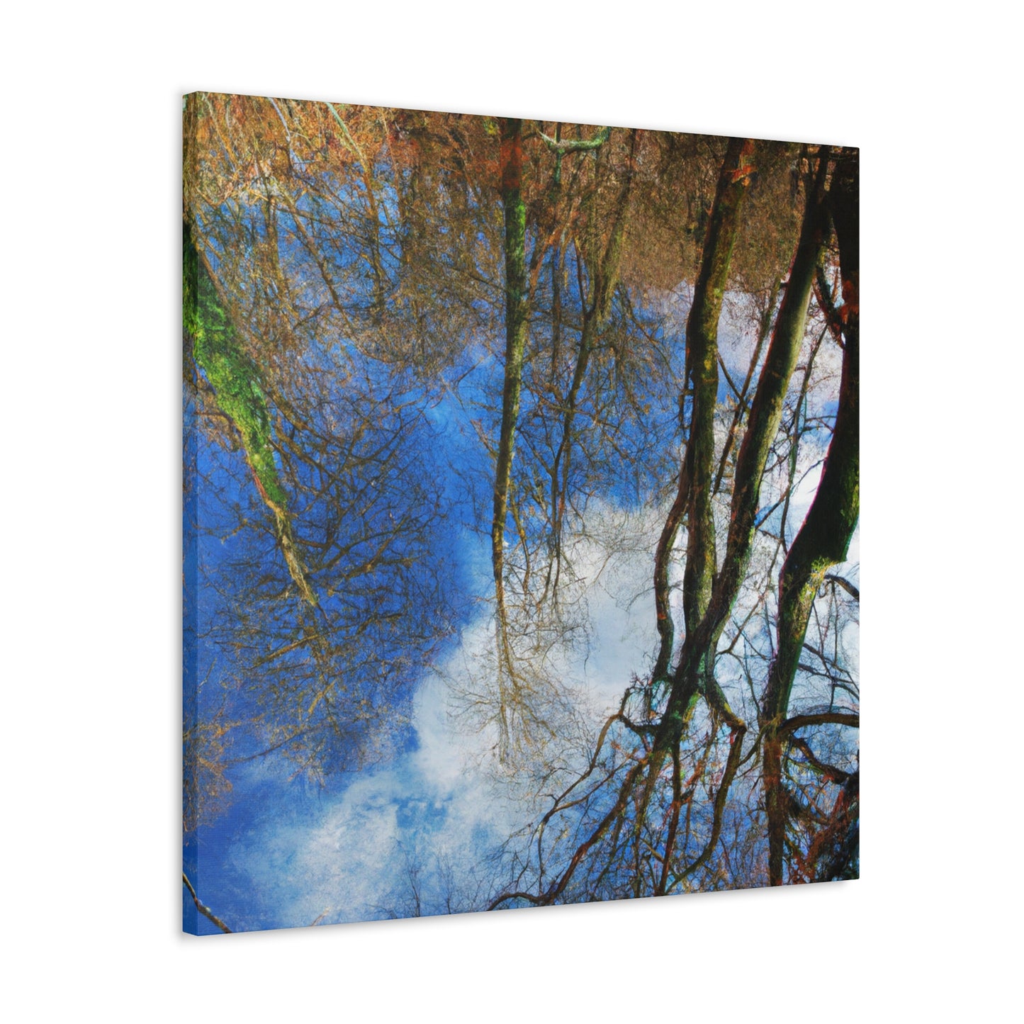 Peter Paul Rubens - canvas