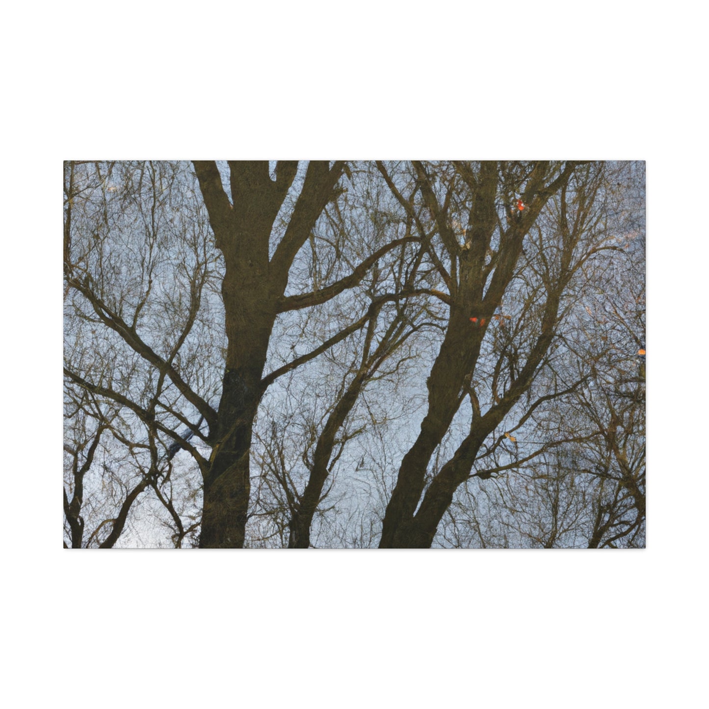 Rembrandt van Rijn - canvas