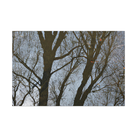 Rembrandt van Rijn - canvas