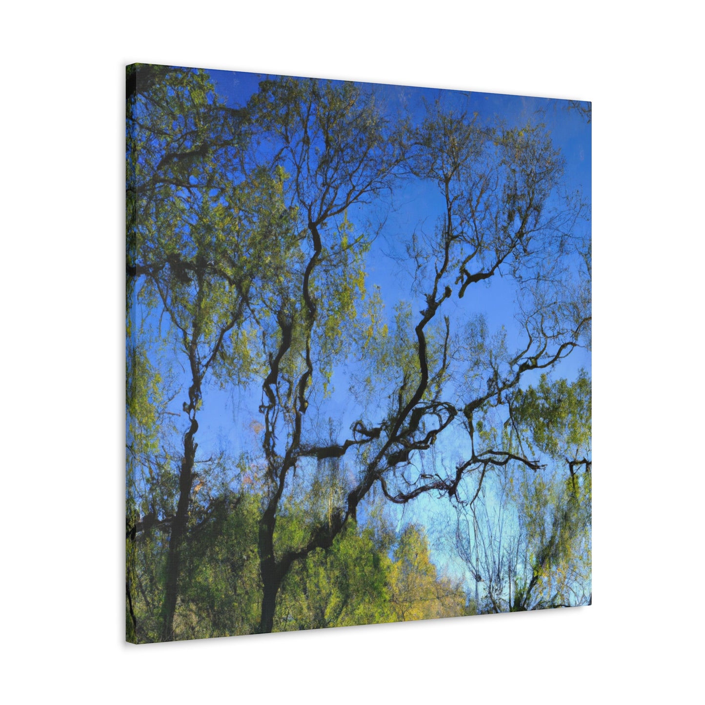 Fabritio Caroso - canvas