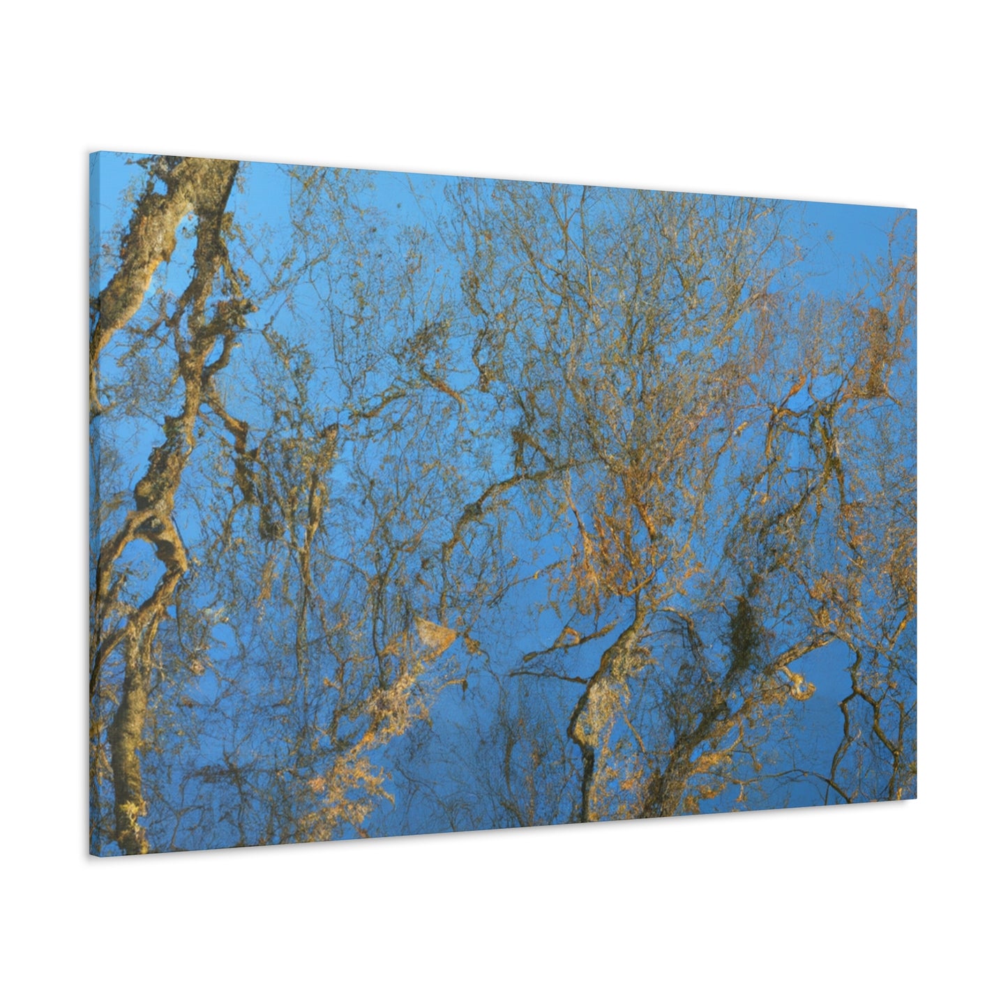 Maria Sibylla Merian - canvas