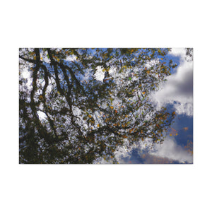 Rembrandt van Rijn - canvas