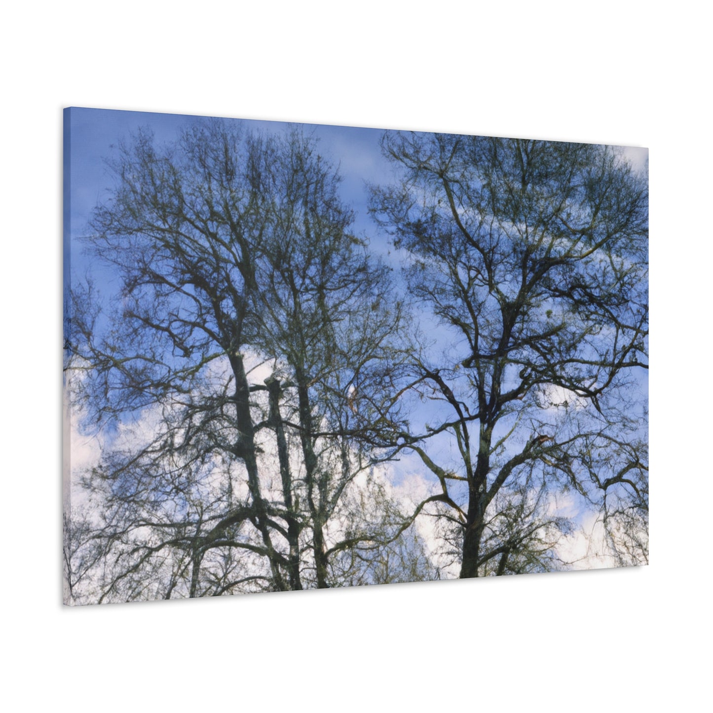 Nicolas Poussin - canvas