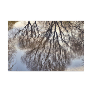 Anthony Van Dyck - canvas