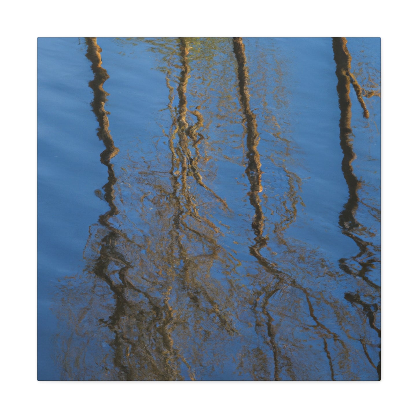 Peter Paul Rubens - canvas