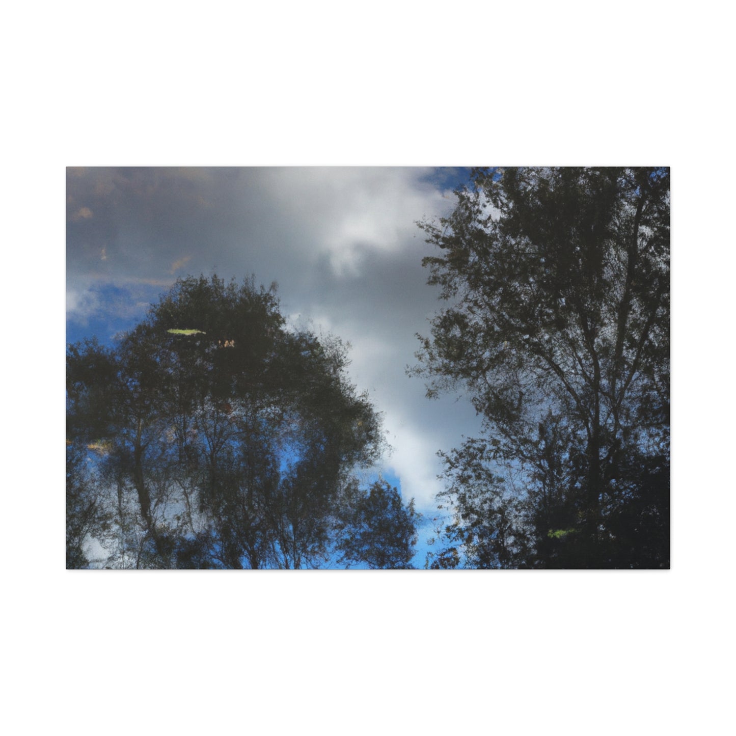 Gerard de Lairesse - canvas