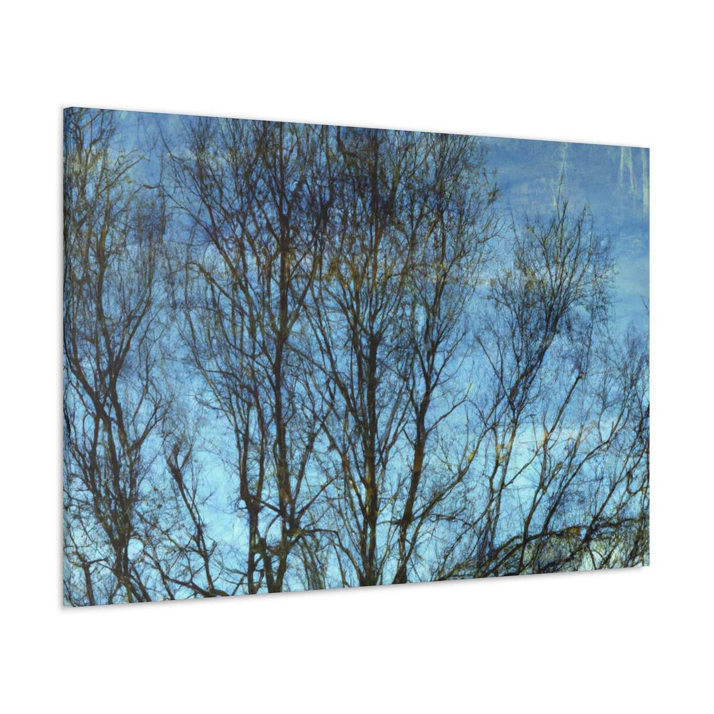 Rembrandt van Rijn - canvas