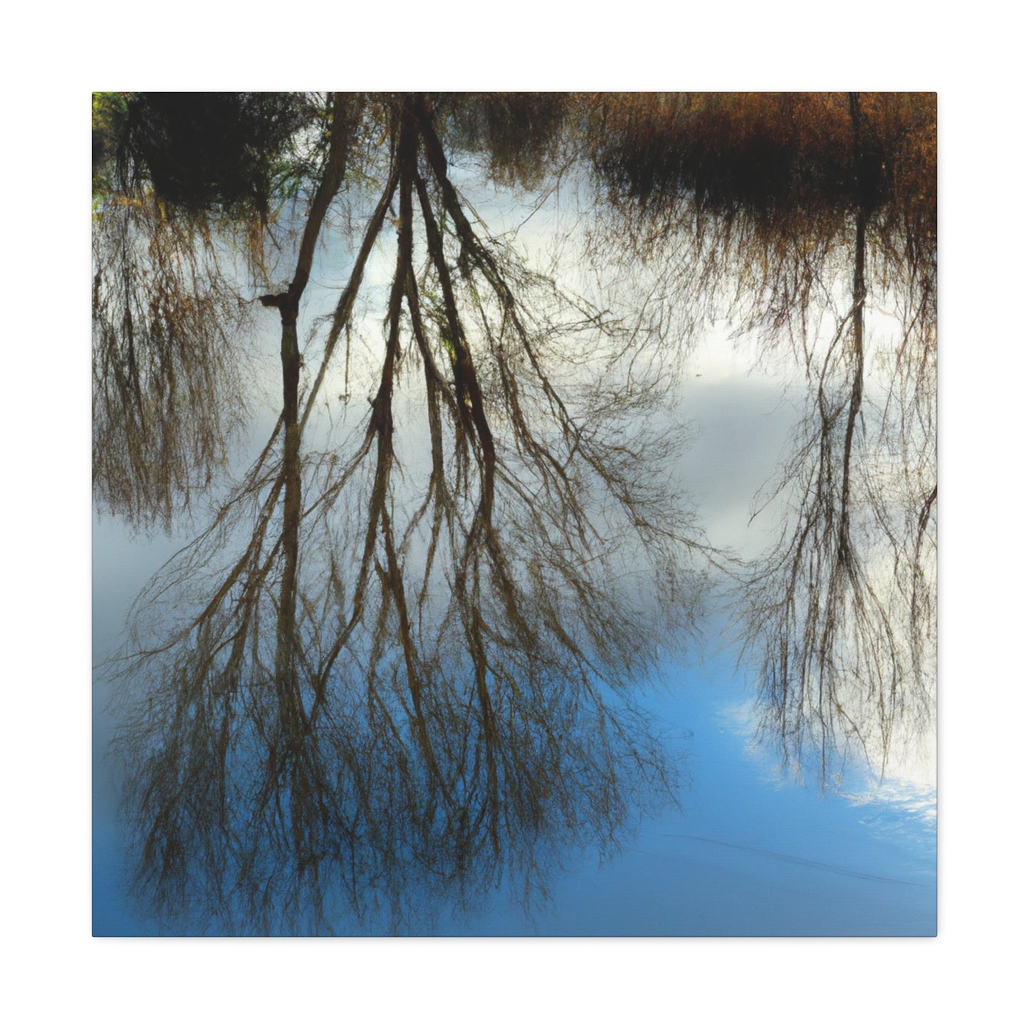 Peter Paul Rubens - canvas