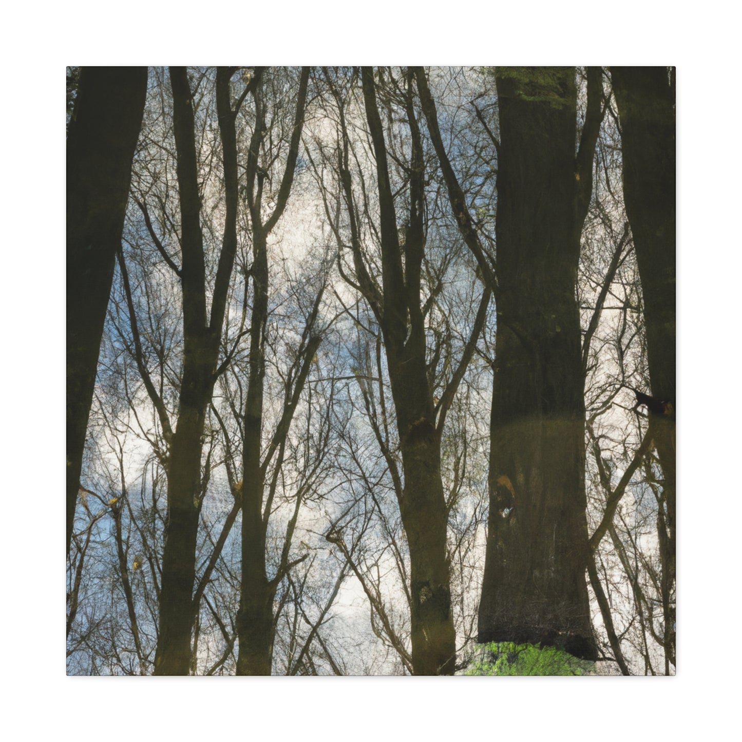 Peter Paul Rubens - canvas