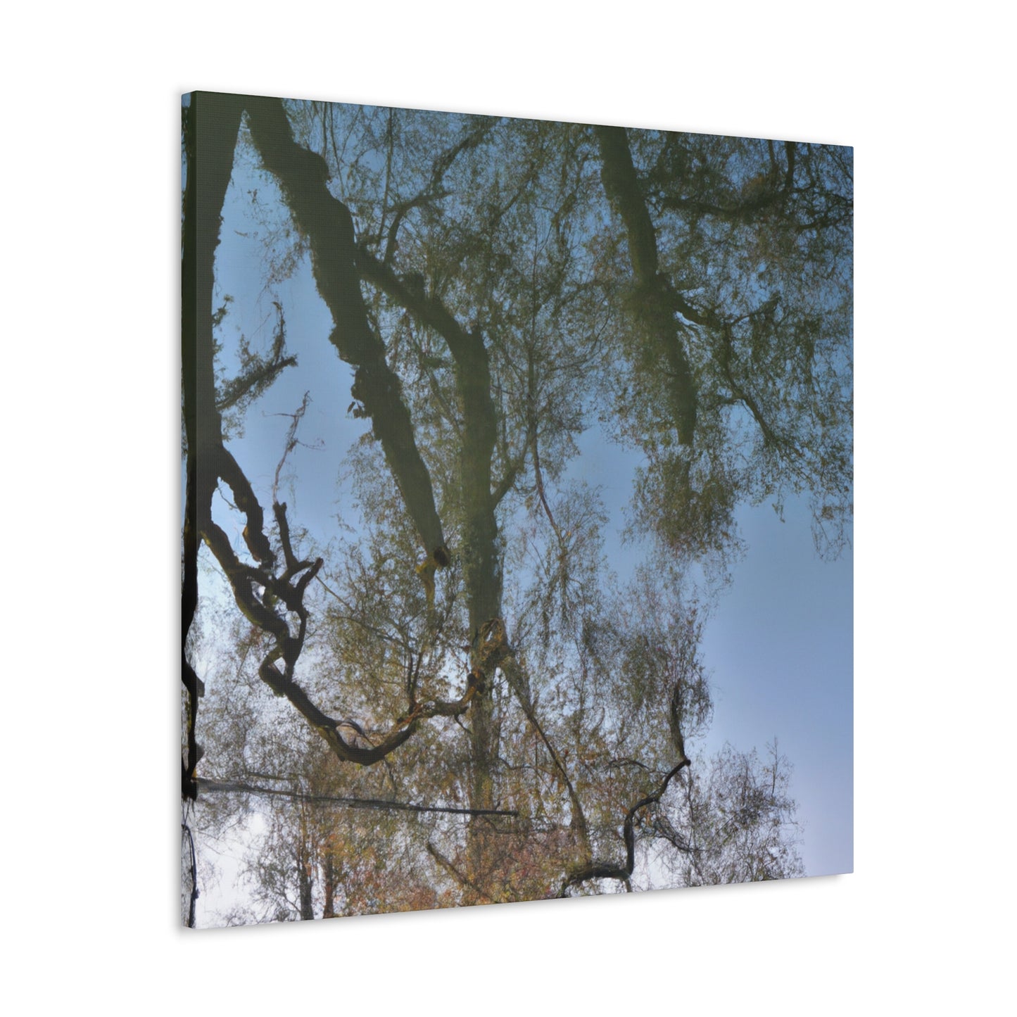 Rembrandt van Rijn - canvas