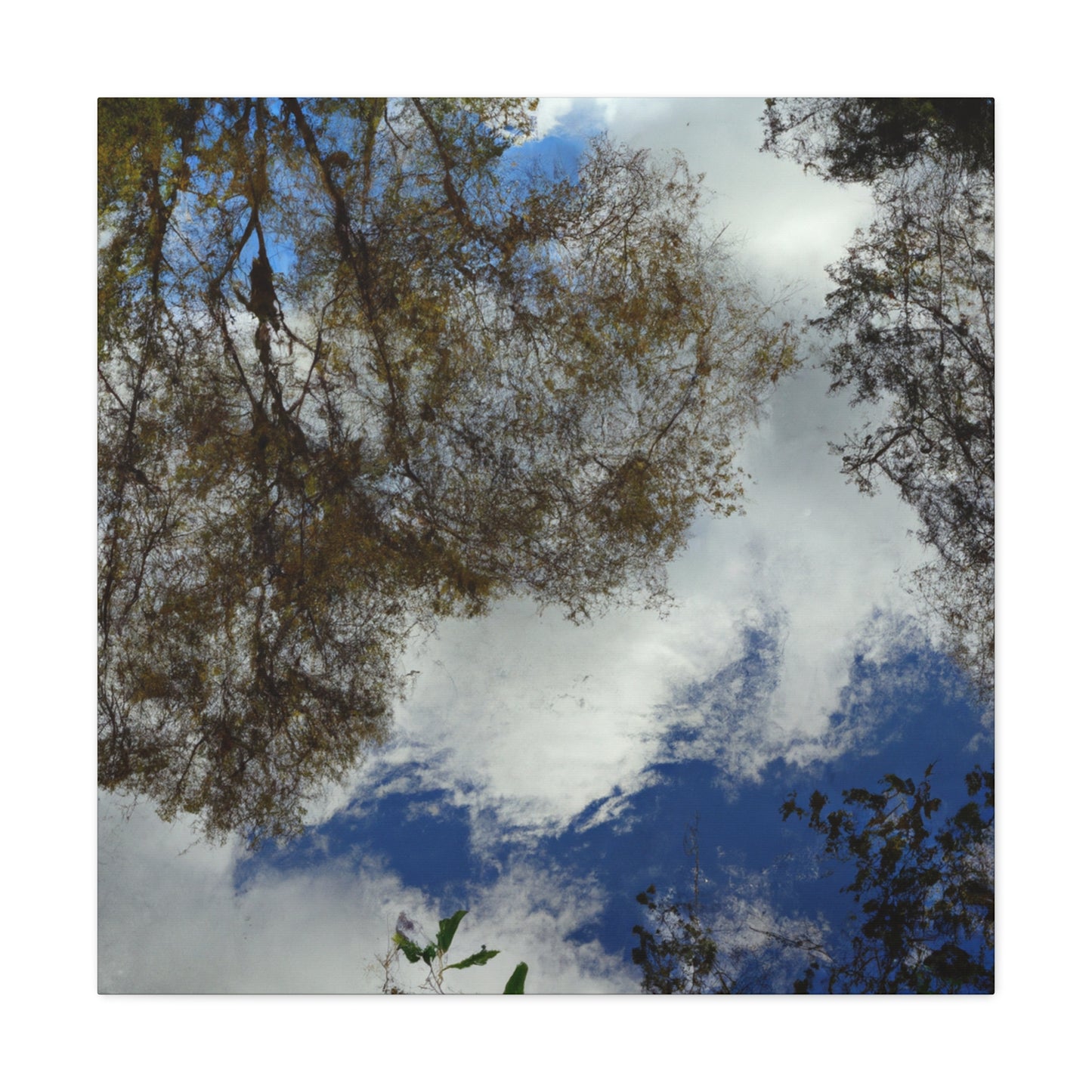 Pieter Bruegel the Elder - canvas