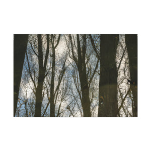 Peter Paul Rubens - canvas