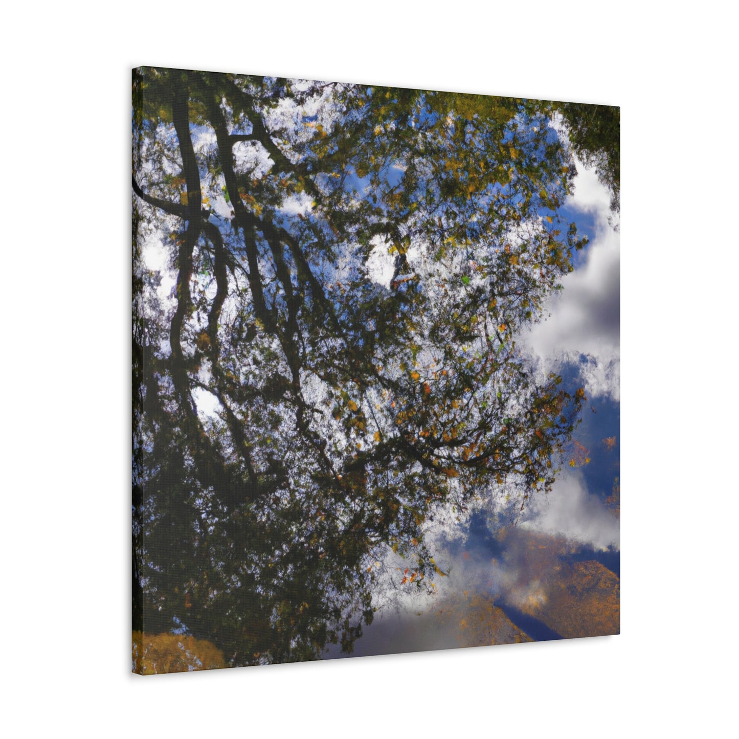 Rembrandt van Rijn - canvas