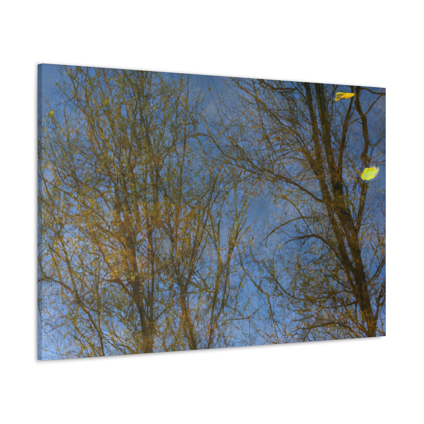 Hendrick Avercamp - canvas