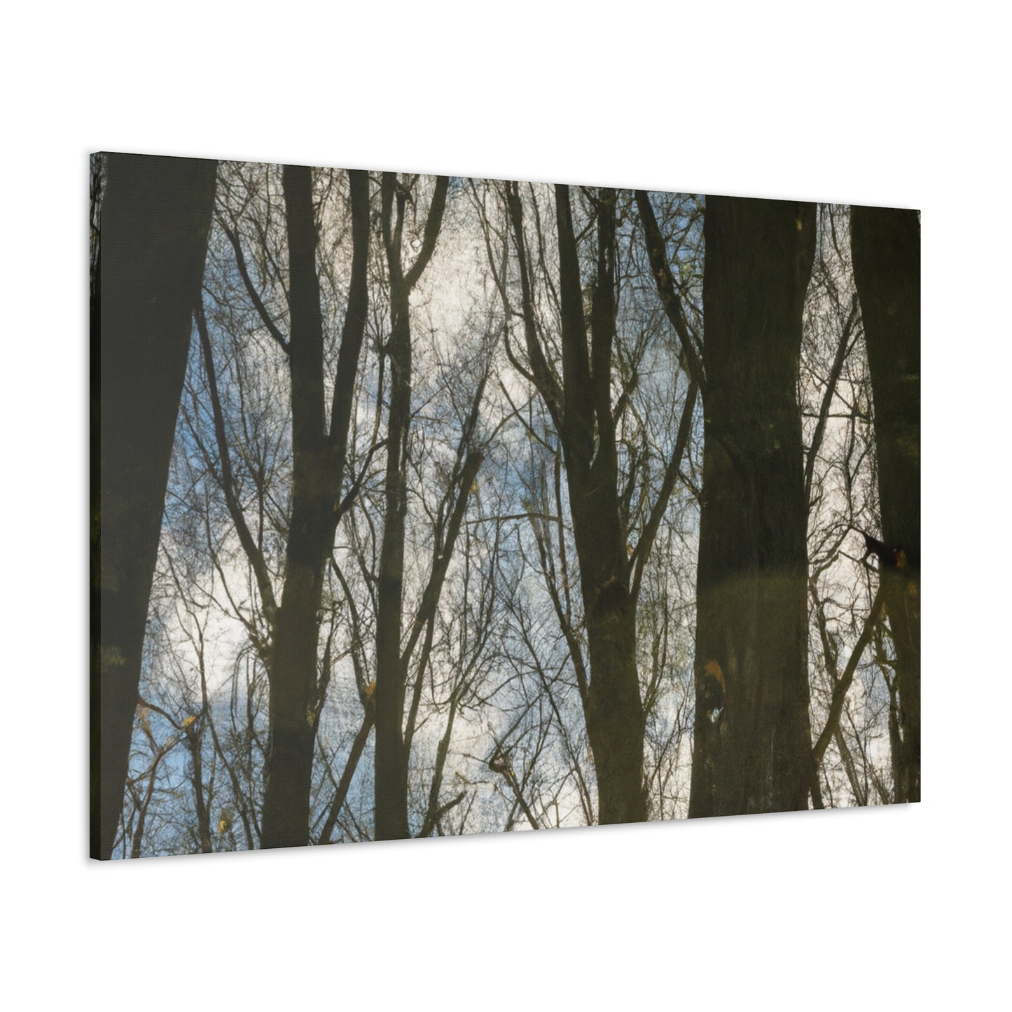 Peter Paul Rubens - canvas