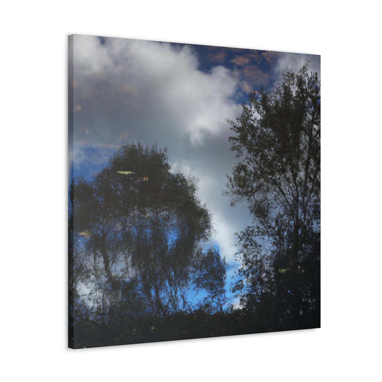 Gerard de Lairesse - canvas