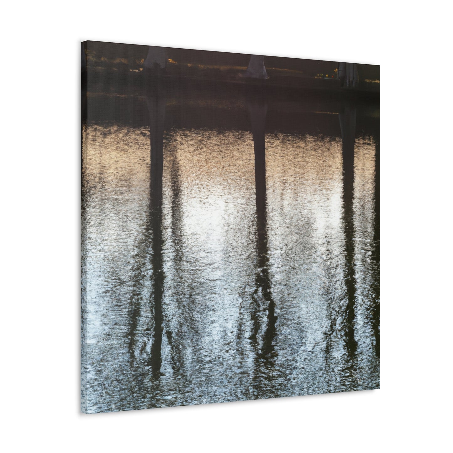 Jan de Bray - canvas