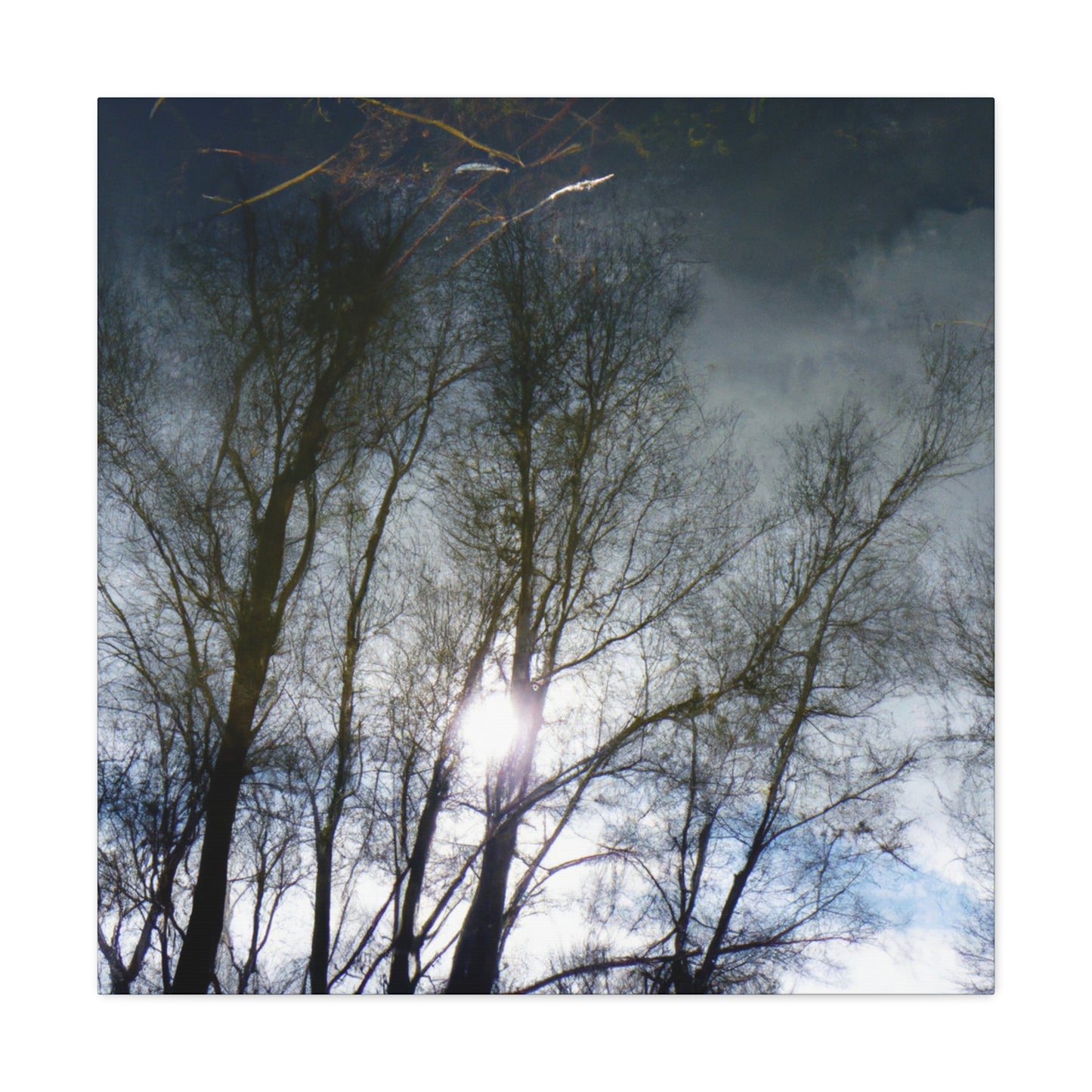 Rembrandt van Rijn - canvas