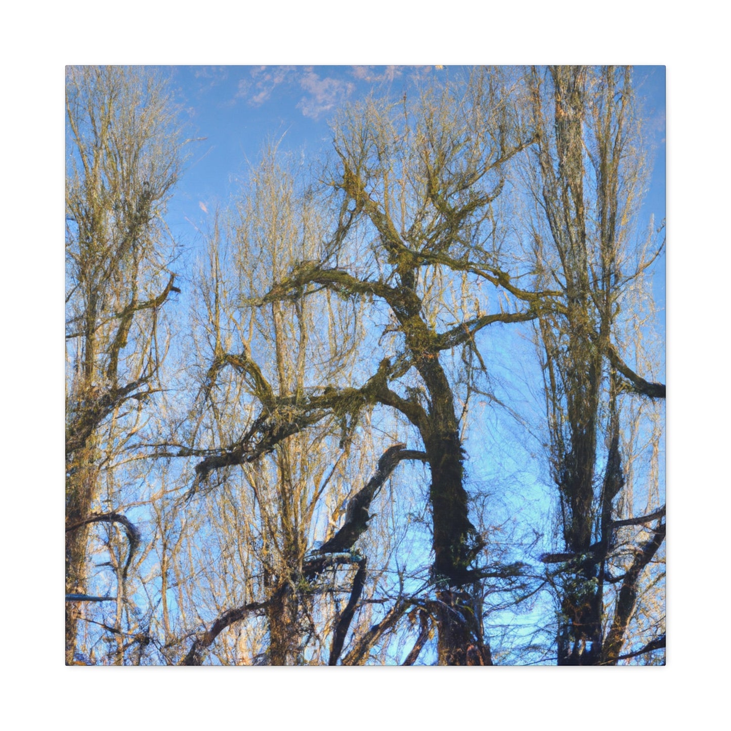 Jan Vermeer - canvas