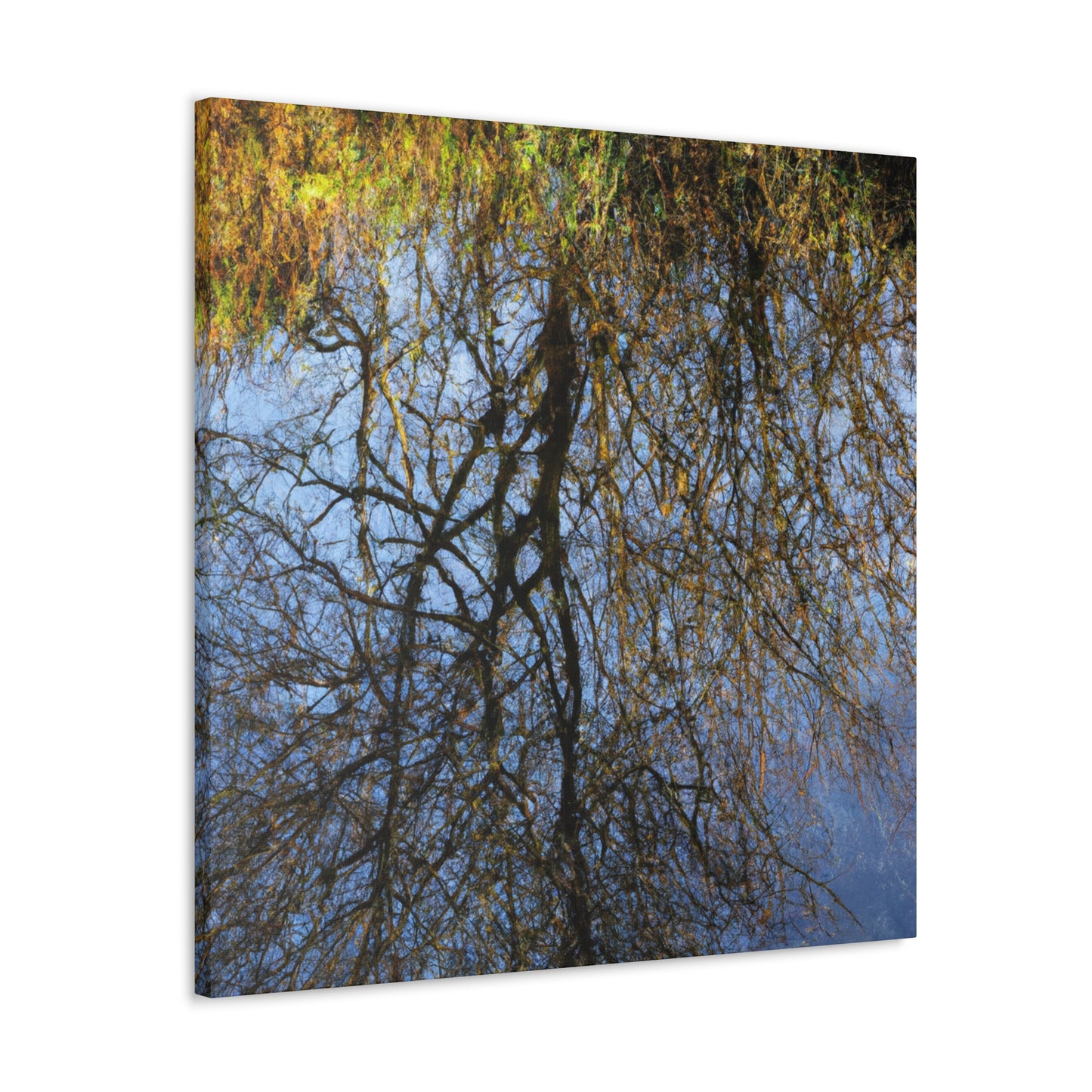 Peter Paul Rubens - canvas