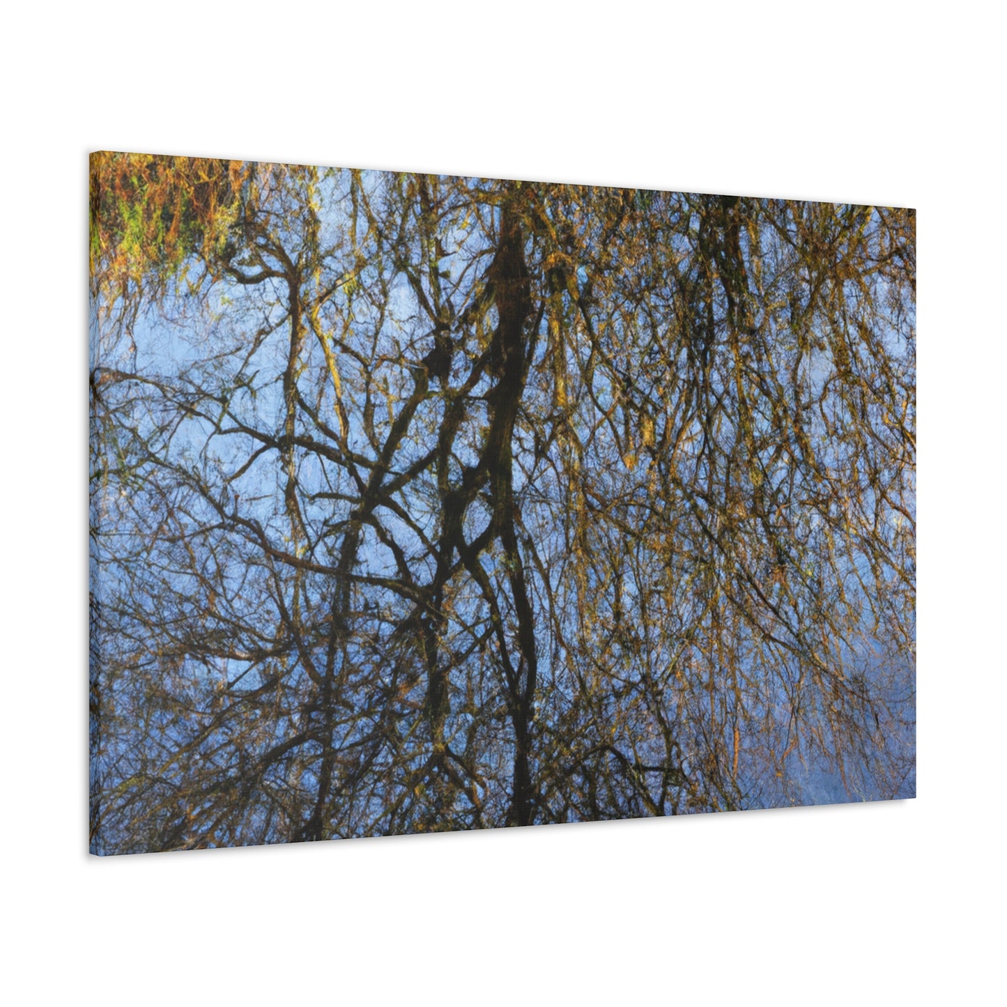 Peter Paul Rubens - canvas