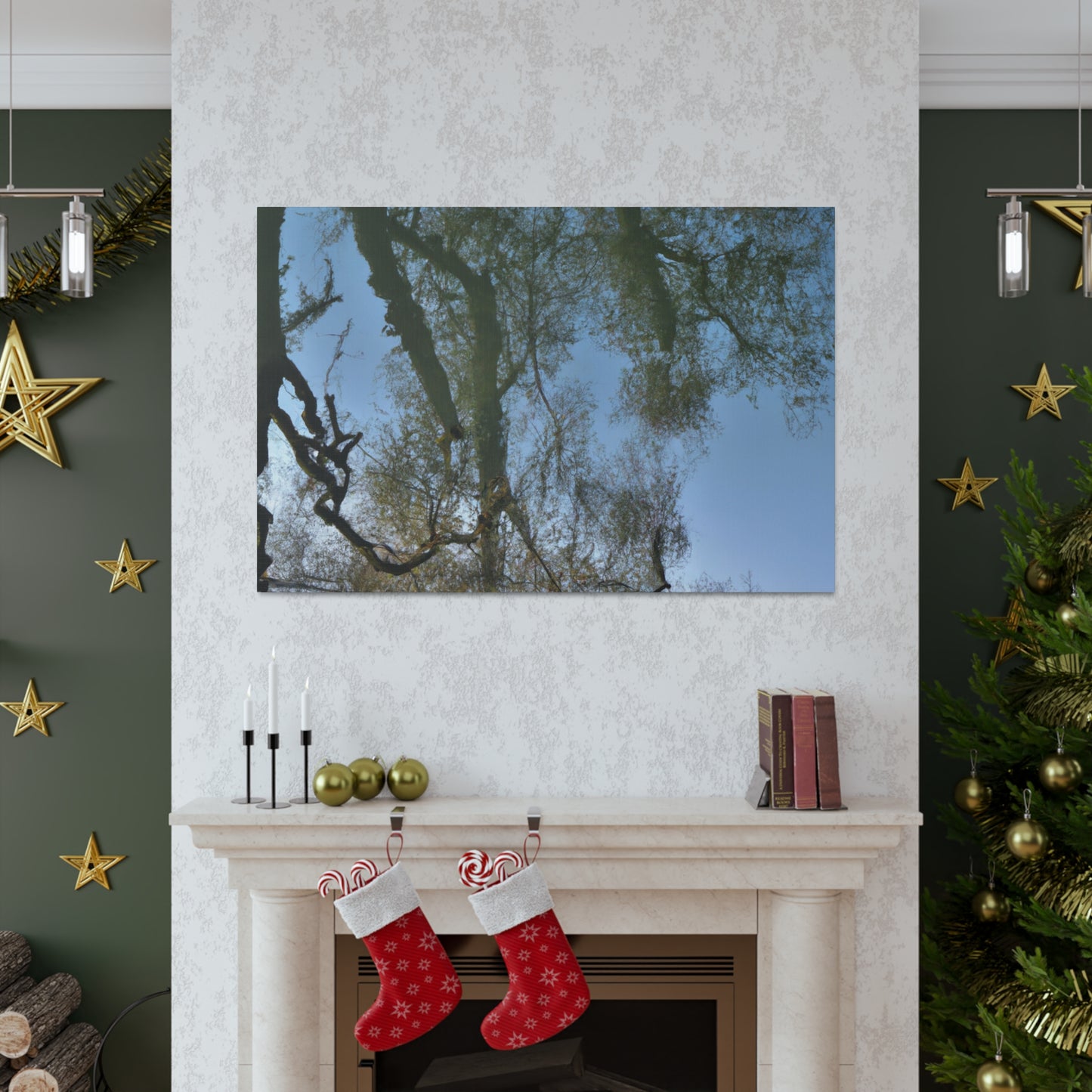 Rembrandt van Rijn - canvas