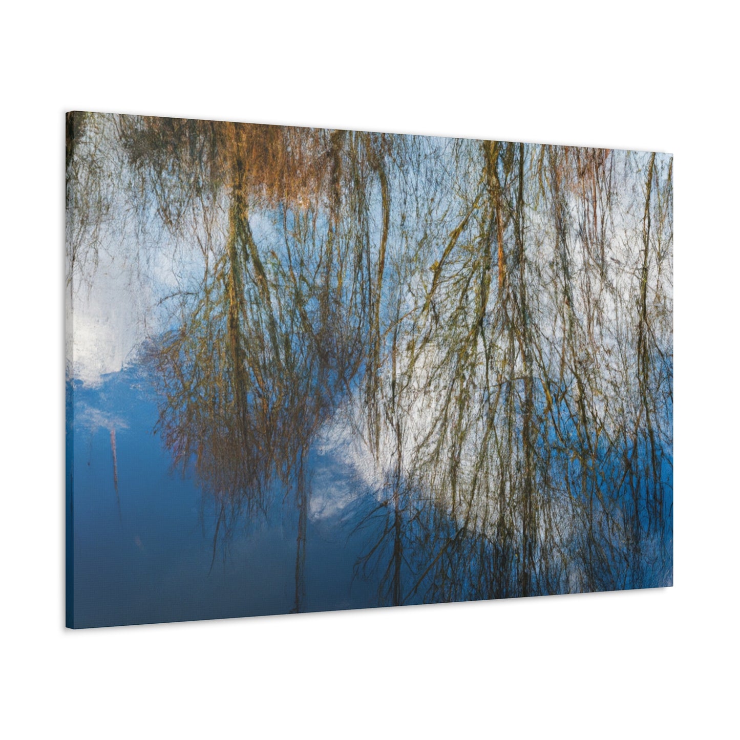 Peter Paul Rubens - canvas