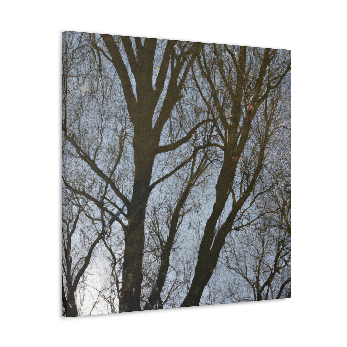 Rembrandt van Rijn - canvas