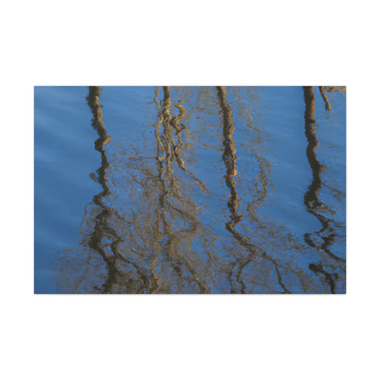 Peter Paul Rubens - canvas