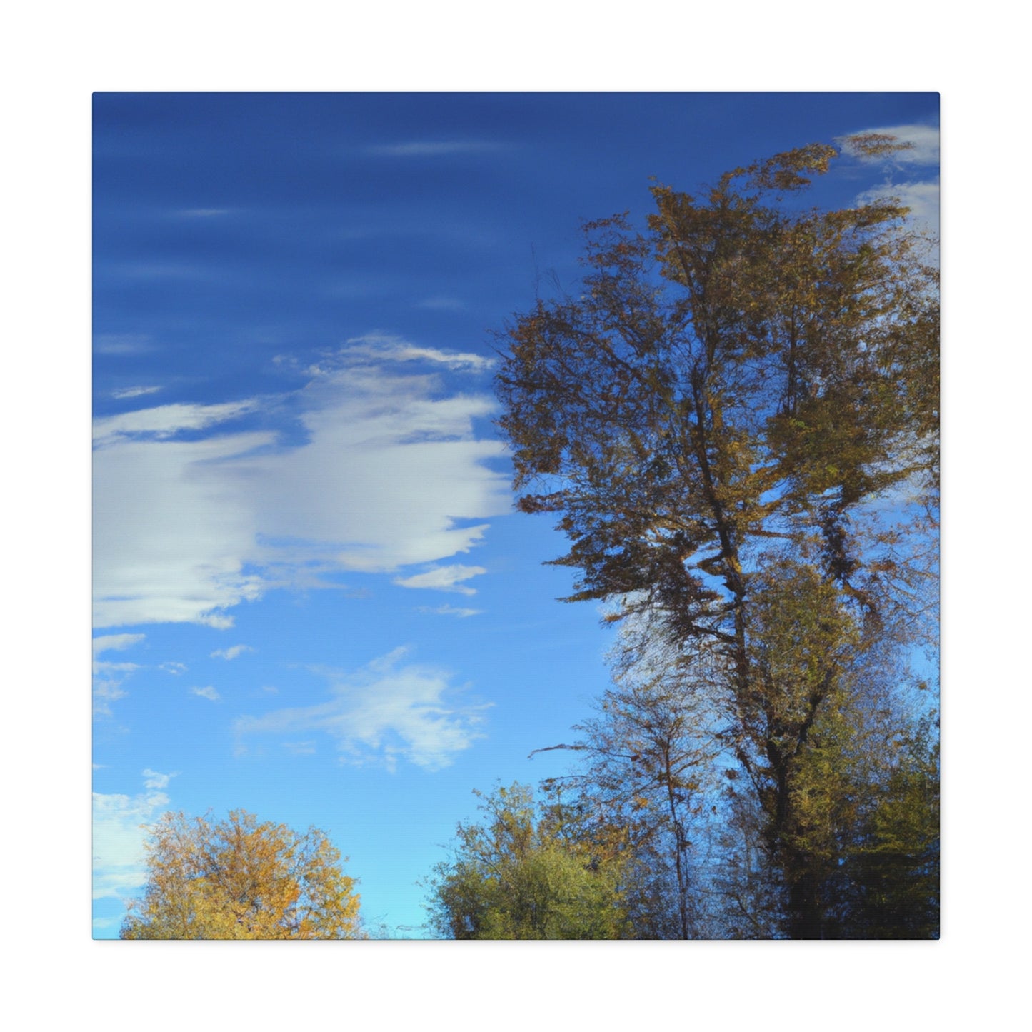 Rembrandt van Rijn - canvas