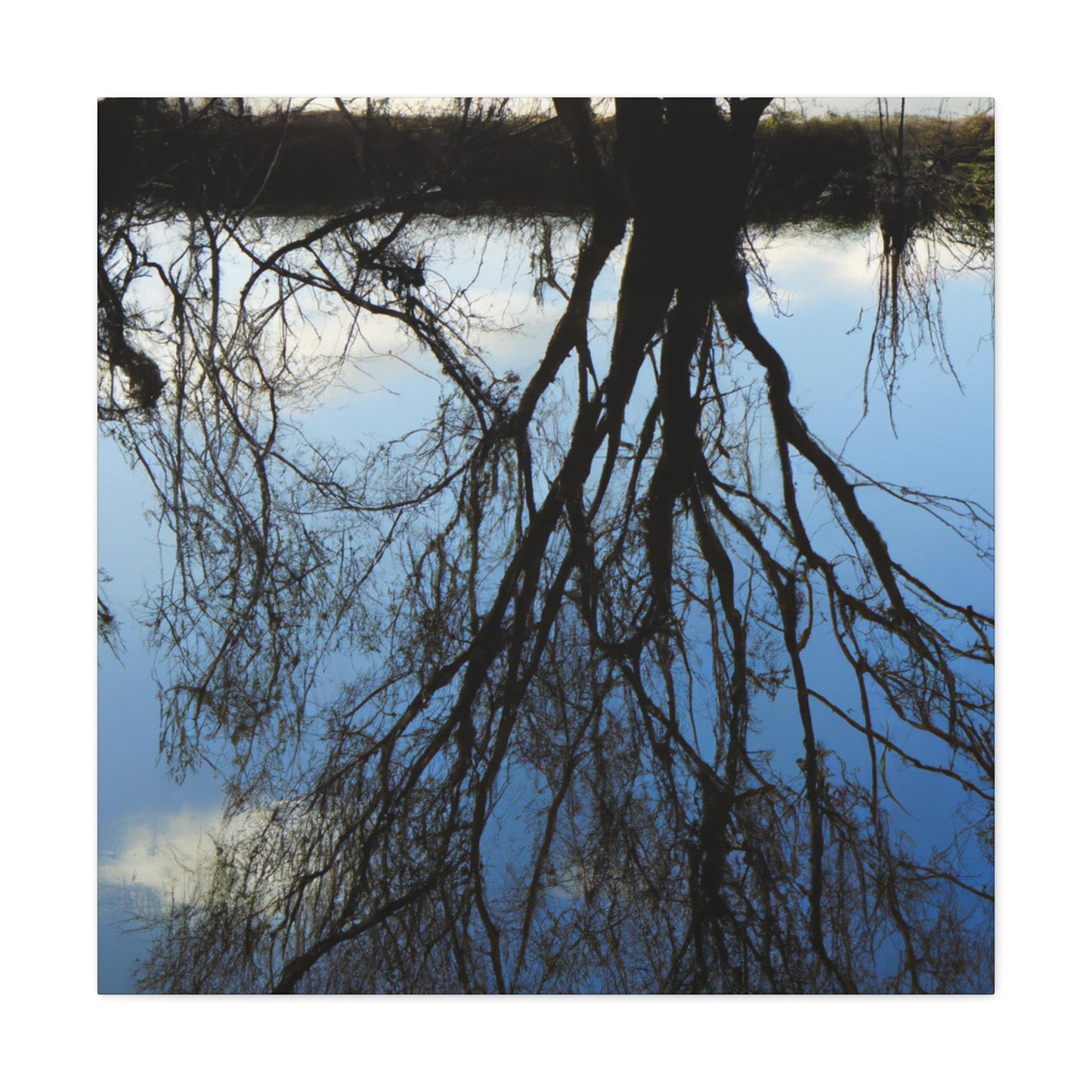 Rembrandt van Rijn - canvas