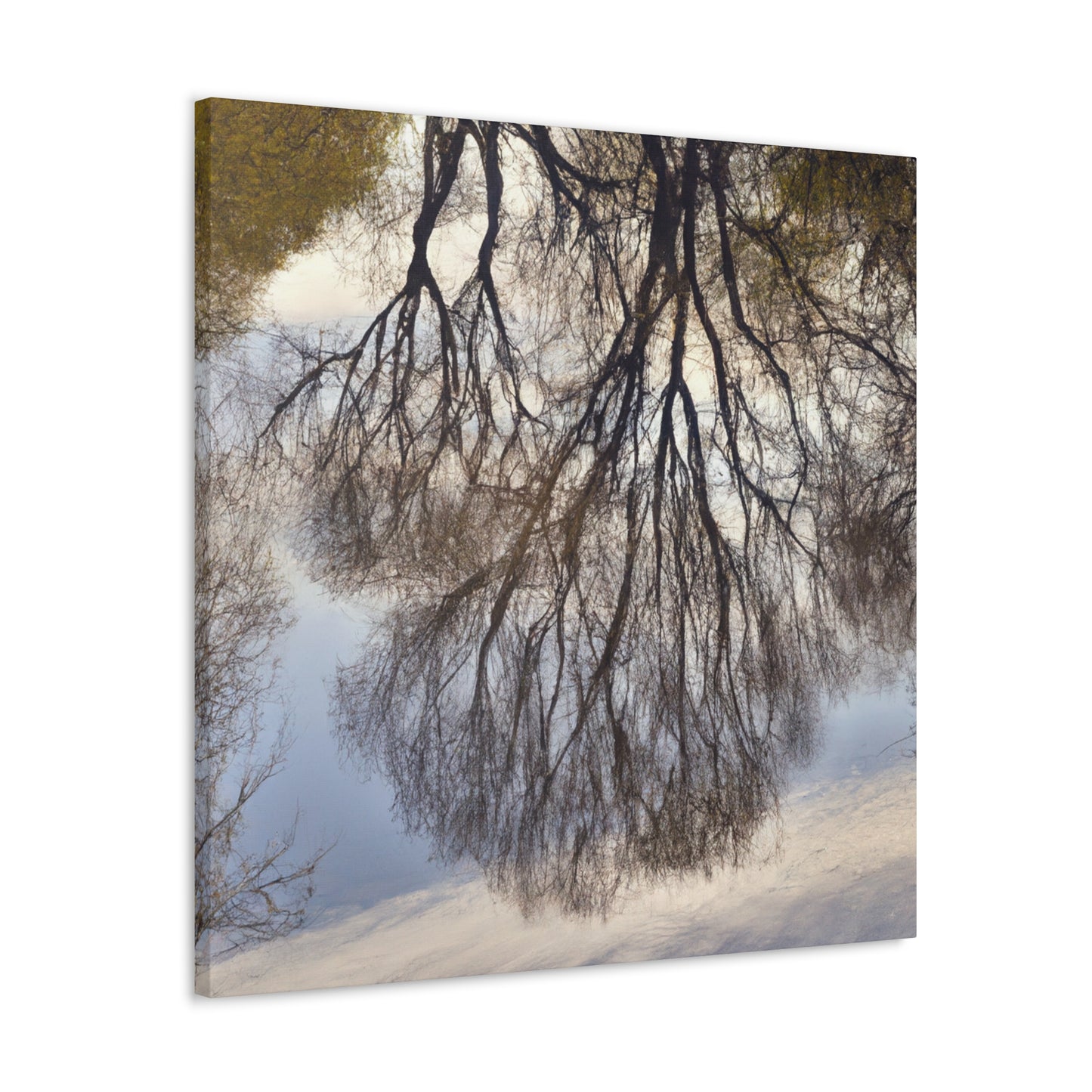 Anthony Van Dyck - canvas