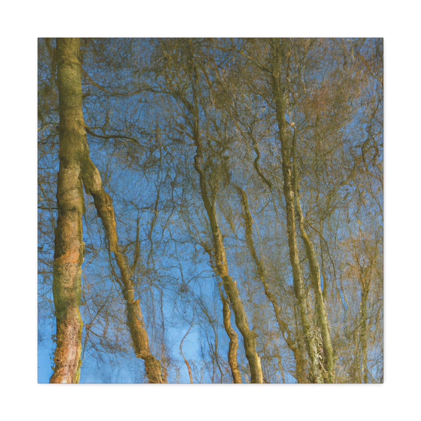 Rembrandt van Rijn - canvas