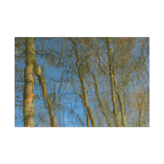 Rembrandt van Rijn - canvas