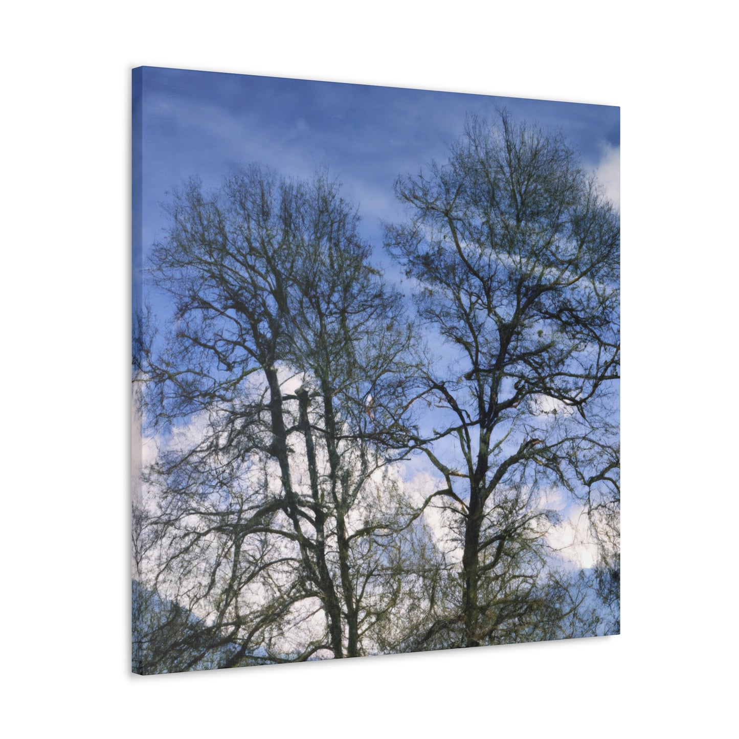 Nicolas Poussin - canvas