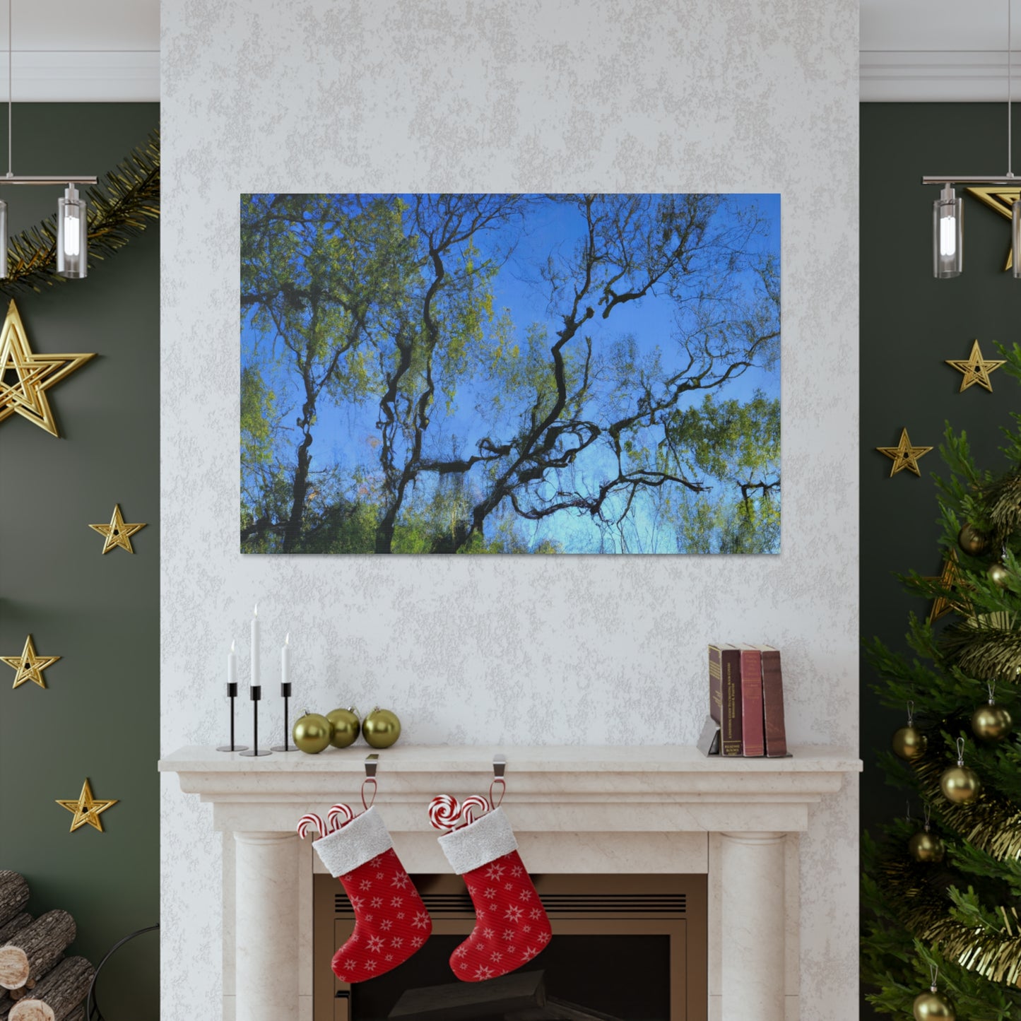 Fabritio Caroso - canvas