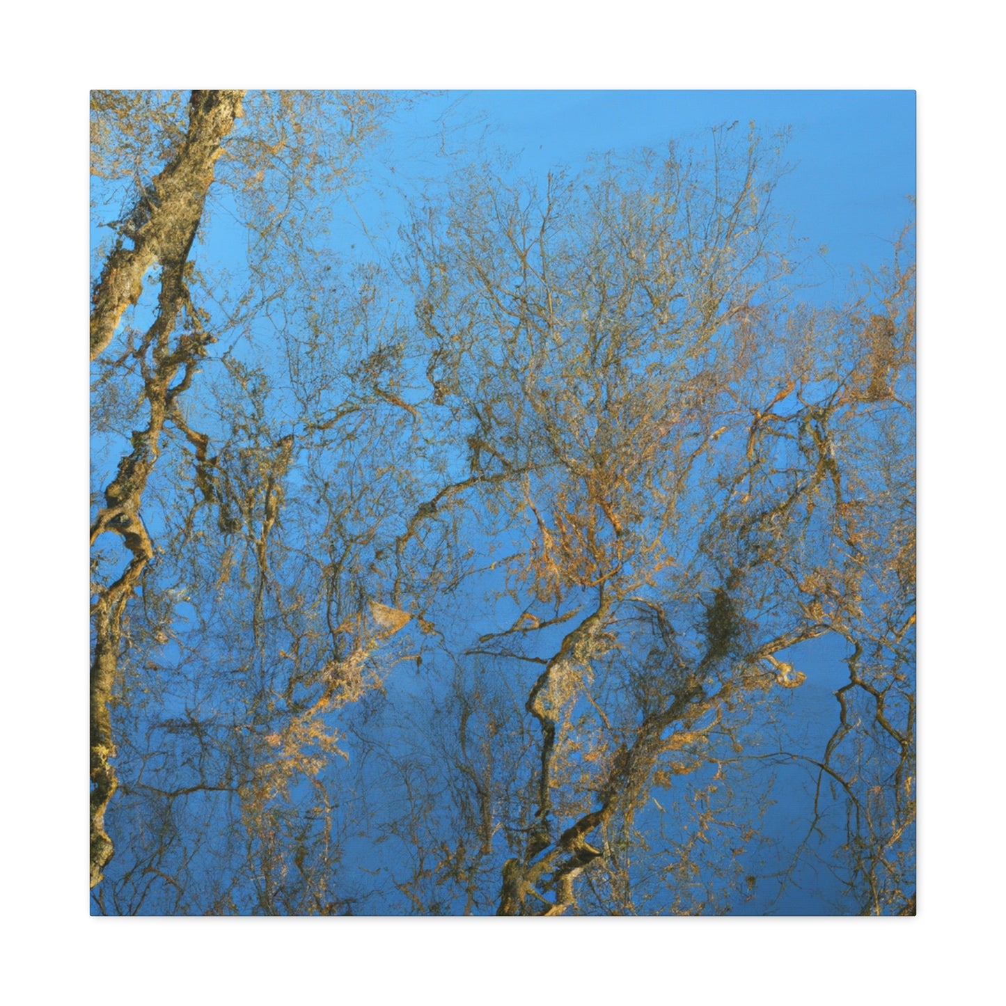 Maria Sibylla Merian - canvas