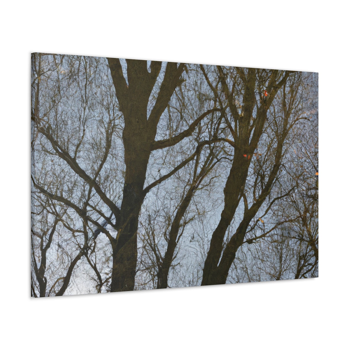 Rembrandt van Rijn - canvas