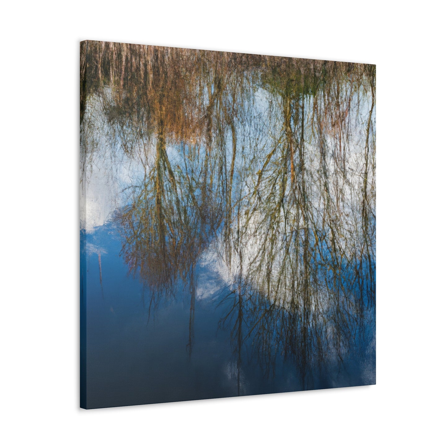 Peter Paul Rubens - canvas