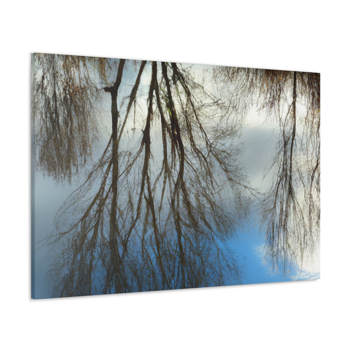 Peter Paul Rubens - canvas