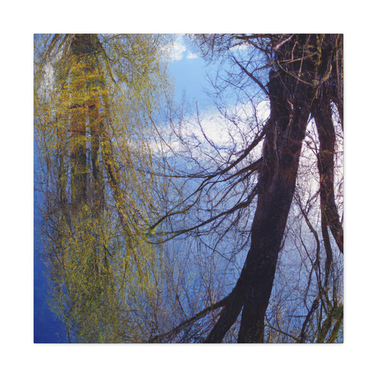 Rembrandt van Rijn - canvas