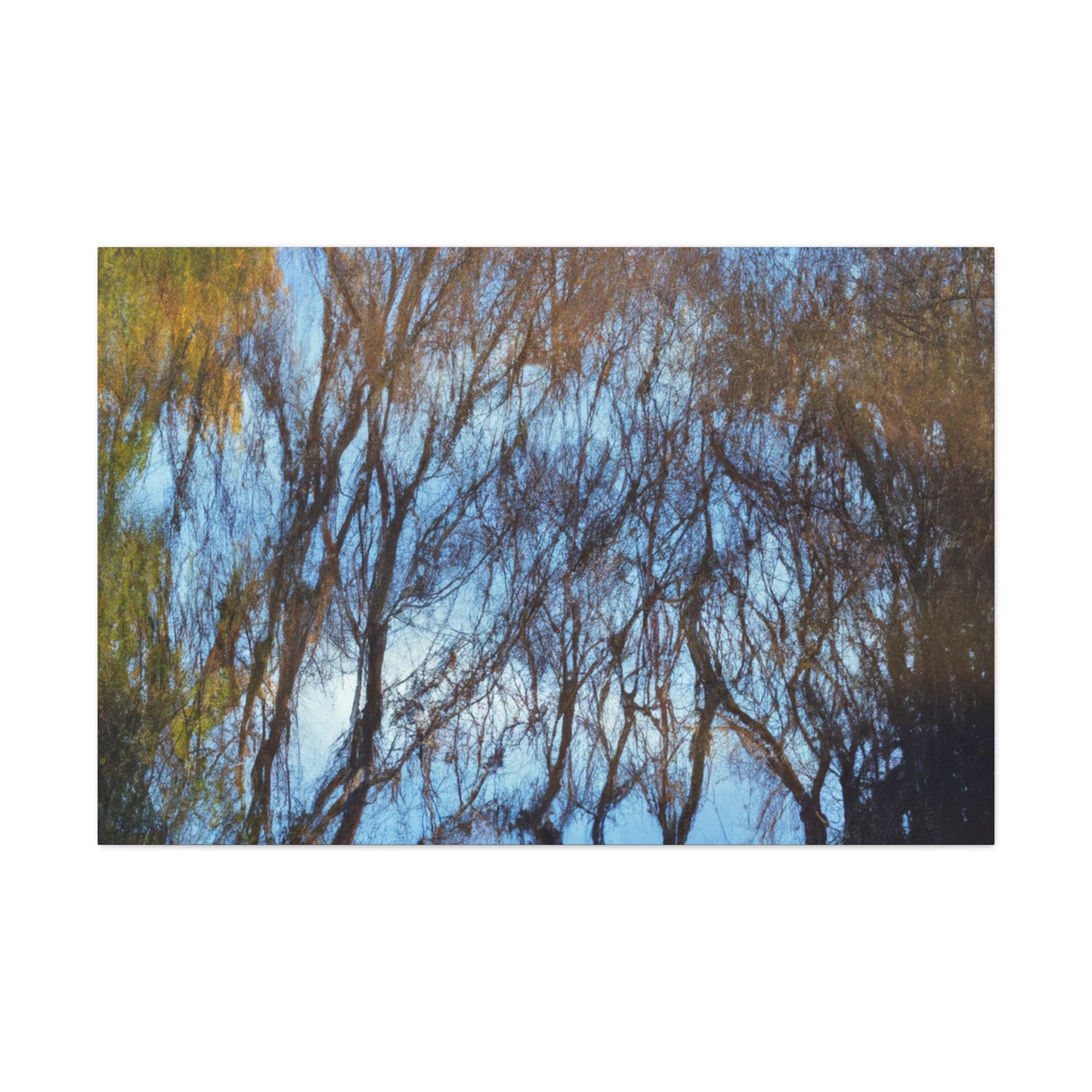 Rembrandt van Rijn - canvas