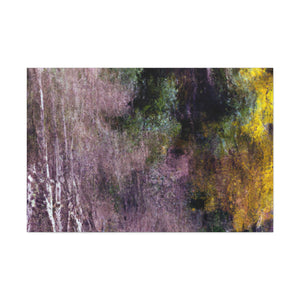 Peter Paul Rubens - canvas