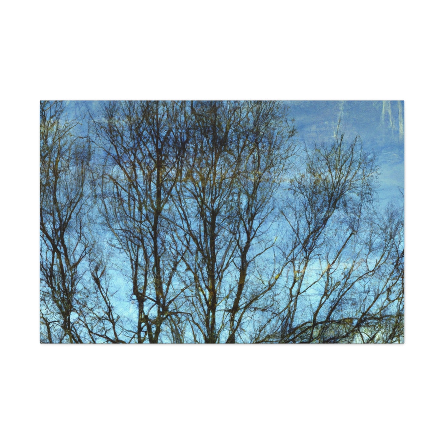 Rembrandt van Rijn - canvas