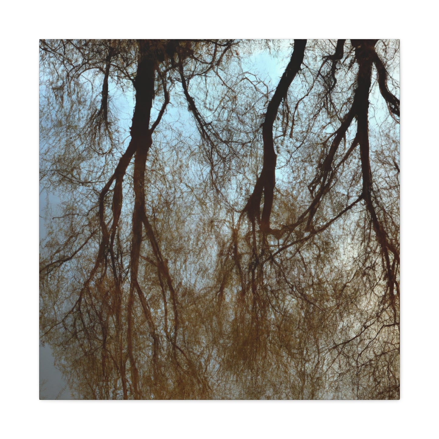 Artemisia Gentileschi - canvas