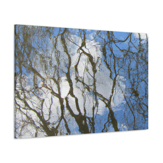 Peter Paul Rubens - canvas