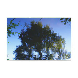 Rachel Ruysch - canvas