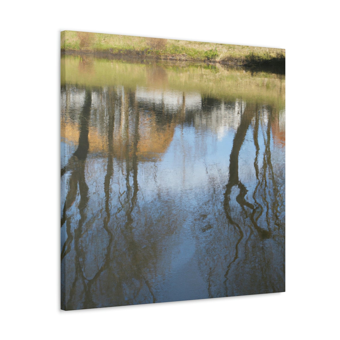 Peter Paul Rubens - canvas