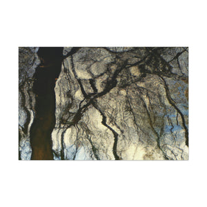 Jan Davidszoon de Heem - canvas