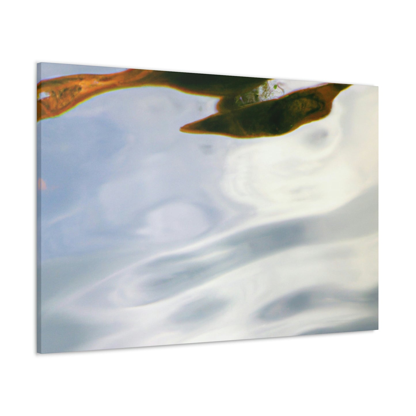 Vermeer van Delft - canvas